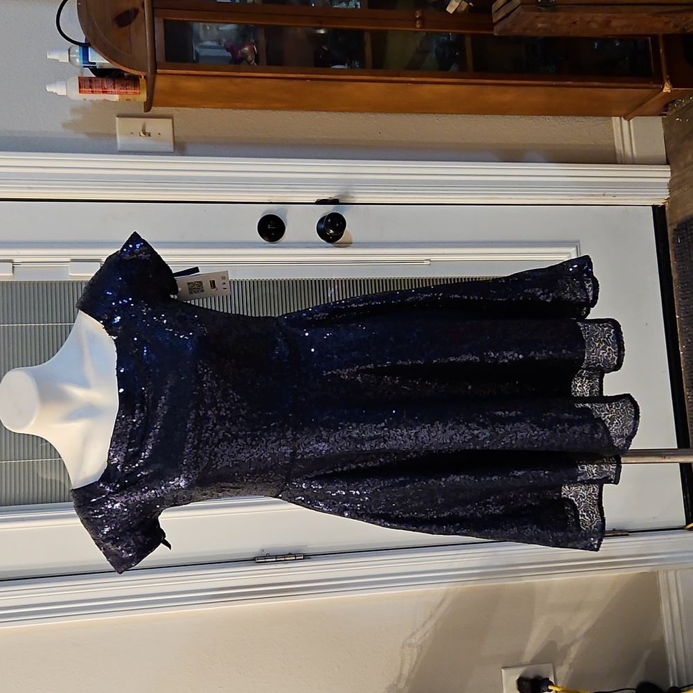 Blue Sequin Dress